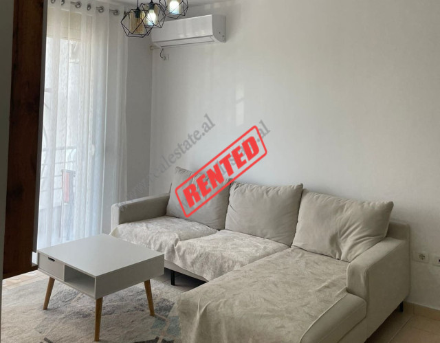 One bedroom apartment for rent close to the Artificial Lake in Tirana, Albania (TRR-818-9L)